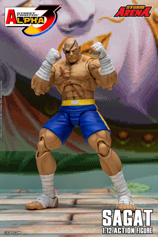 SAGAT - Street Fighter Alpha 3 "STORM ARENA" 1/12 SCALE