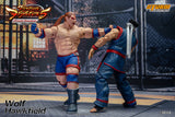WOLF HAWKFIELD - Virtua Fighter 5 Action Figure