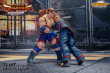 WOLF HAWKFIELD - Virtua Fighter 5 Action Figure