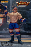 WOLF HAWKFIELD - Virtua Fighter 5 Action Figure