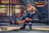 WOLF HAWKFIELD - Virtua Fighter 5 Action Figure