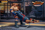 WOLF HAWKFIELD - Virtua Fighter 5 Action Figure