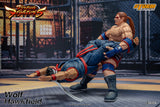 WOLF HAWKFIELD - Virtua Fighter 5 Action Figure