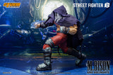 M.BISON and ROCINANTE SET - STREET FIGHTER 6