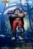 M.BISON and ROCINANTE SET - STREET FIGHTER 6