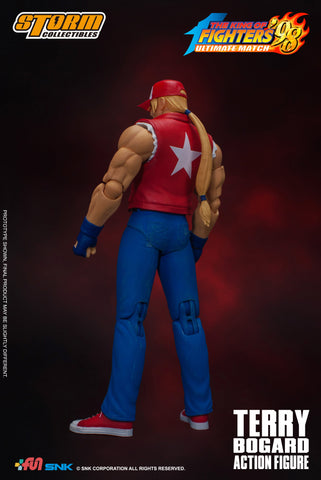 Terry bogard clearance storm collectibles