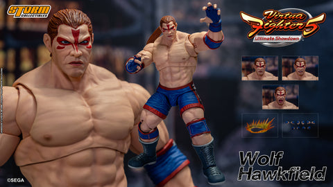 WOLF HAWKFIELD - Virtua Fighter 5 Action Figure
