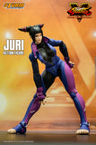 JURI HAN - Street Fighter V Action Fighter