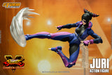 JURI HAN - Street Fighter V Action Fighter