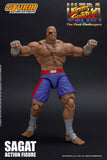 SAGAT - USFII Action Figure