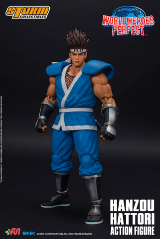 新作商品 HANZOU HATTORI Collectibles Storm – PERFECT HEROES WORLD - アニメ