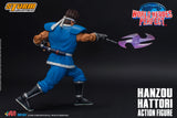 HANZOU HATTORI - WORLD HEROES PERFECT