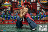 GENJURO KIBAGAMI - Samurai Showdown VI
