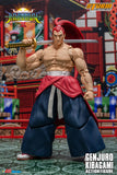 GENJURO KIBAGAMI - Samurai Showdown VI